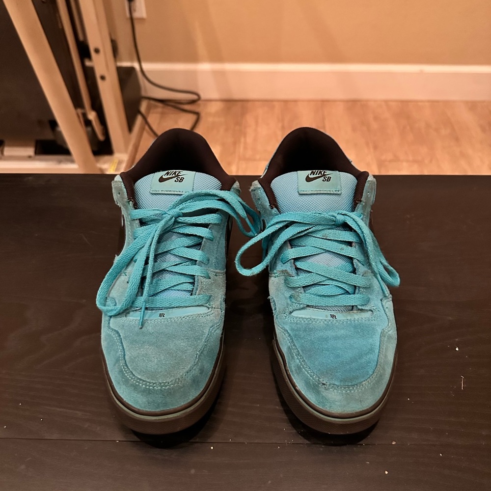 Nike Paul Rodriguez 2.5 Chorine Blue Dunks